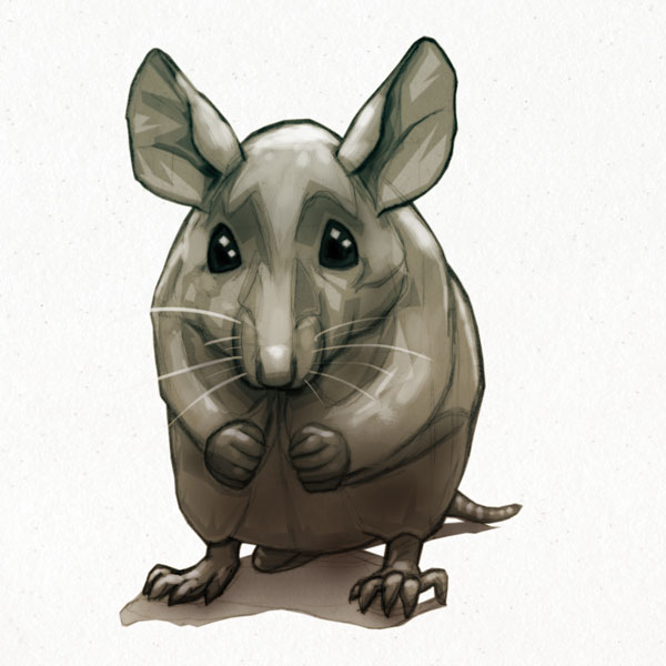 Ratty mouse // 1:1 // sketch // 2019 // 5400 views