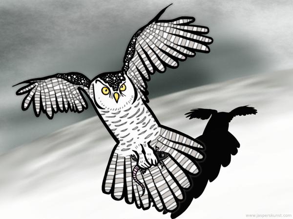 Snow owl with snack // 50 x 30 cm // digital composition // 2011 // 11584 views