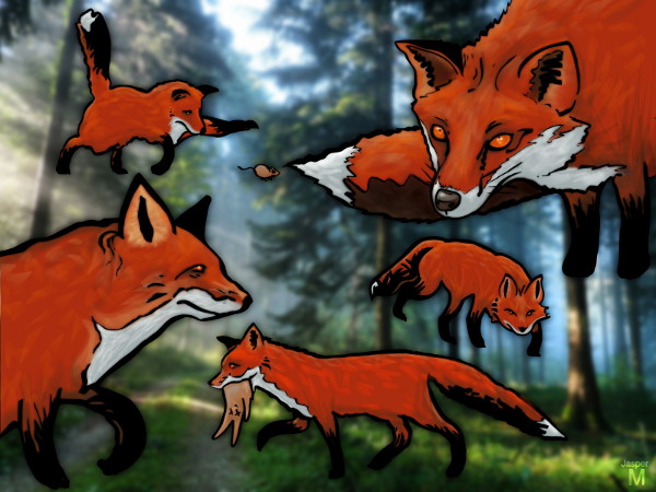 Foxes // - // digital composition // 2015 // 10218 views