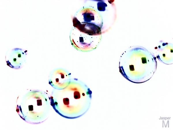 Ambivalent bubbles #4 // 30 x 20 cm // photo // 2013 // 11620 views