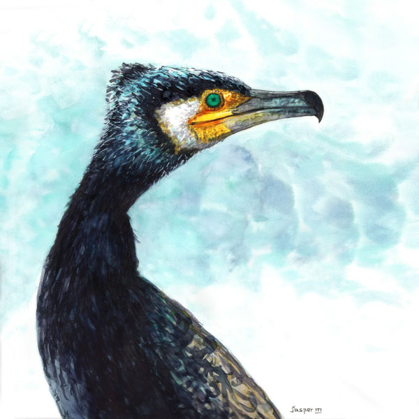 Cormorant gets it // 20 x 30 cm // water color // 2021 // 5659 views