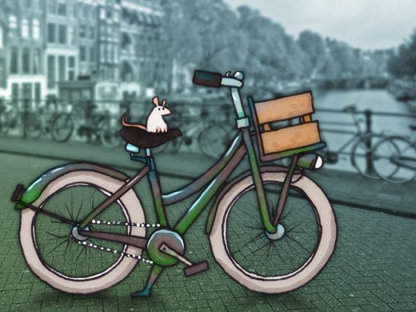 Bicycle // 4:3 // digital composition // 2016 // 9667 views