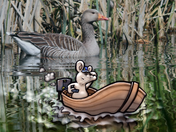 Boat // 4:3 // digital composition // 2016 // 9334 views