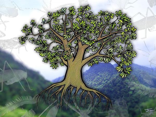 Tree // 70 x 50 cm // digitial composition // 2008 // 12229 views