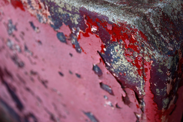 Breton wall #6 - Pink scabs // 3:2 // photo // 2018 // 6799 views