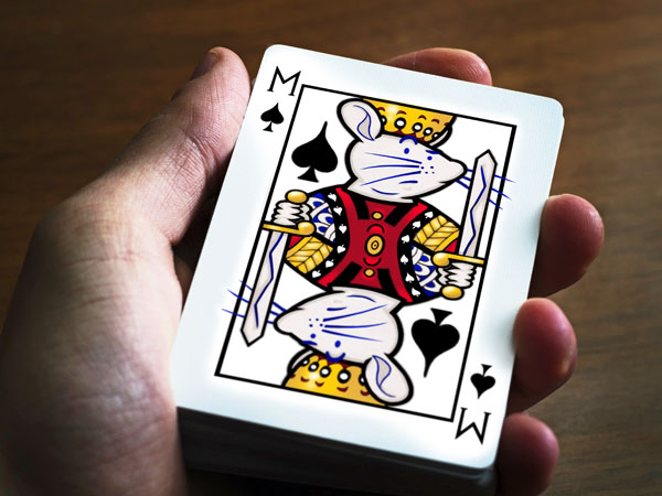 Card // 4:3 // digital composition // 2016 // 9546 views