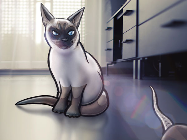 Cat // 4:3 // digital composition // 2016 // 9757 views