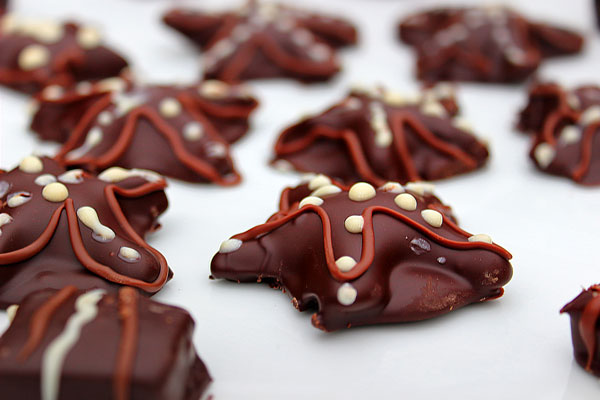 Choco starfish // 3:2 // photo // 2024 // 1050 views