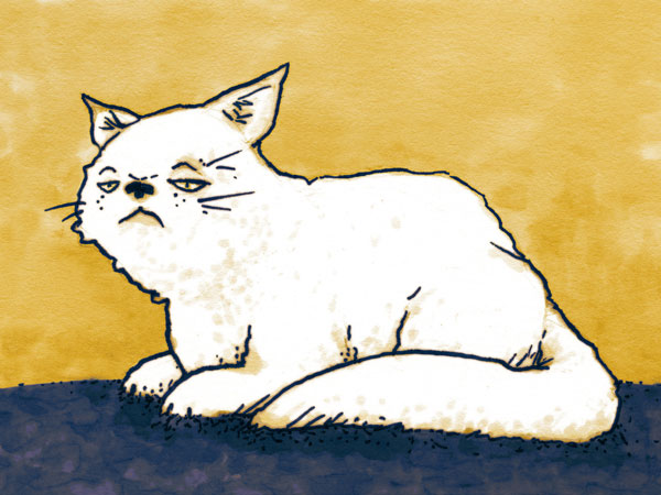 Clueless cat // 16 x 12 cm // pen and markers plus digital color // 2022 // 1952 views