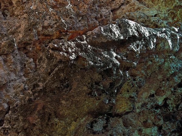 Coralline // 90 x 60 cm // photo // 2015 // 11316 views