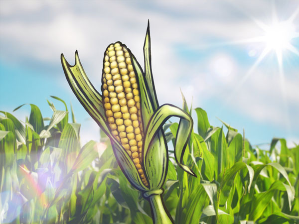 Corn // 4:3 // digital composition // 2016 // 9489 views