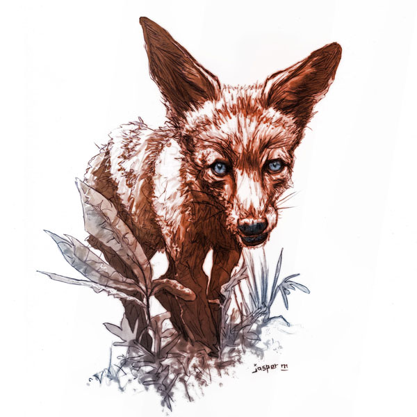 Edgy fox // 18 x 18 cm // pencil and pen plus digital colors // 2022 // 3239 views