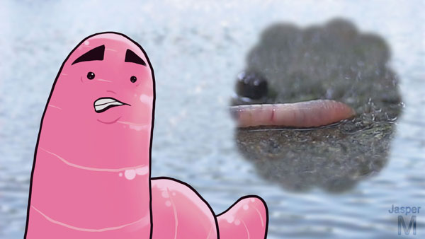Worm fantasy // 16:9 // video still // 2019 // 6642 views