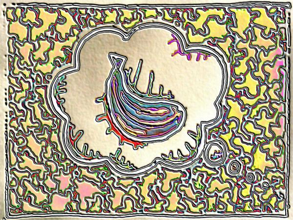 Food for thought // 50 x 35 cm // silk screen print on paper // 2005 // 13379 views