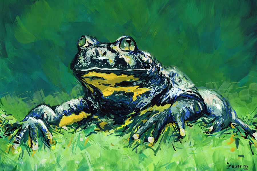 Touchy toad // 30 x 20 cm // gouache on paper // 2023 // 965 views