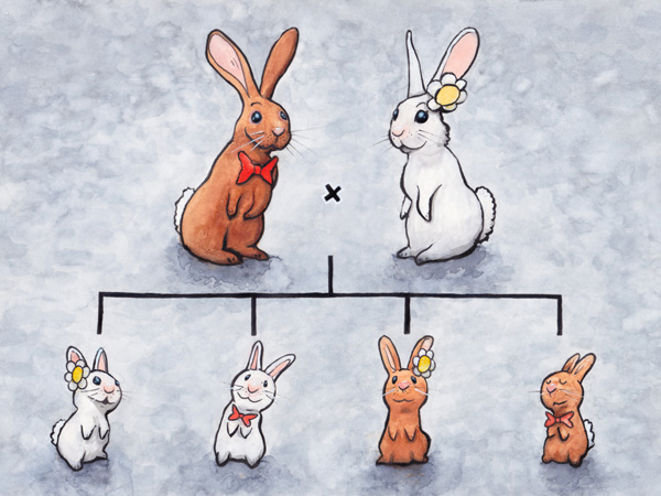 Rabbit family // 27 x 19 cm // watercolors and ink on paper // 2018 // 49450 views