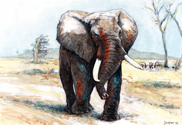 Strolling elephant // A4 // Watercolor and pen on paper // 2023 // 6027 views