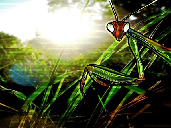 Mantis // 40 x 23 cm // digital composition // 2011 // 12702 views