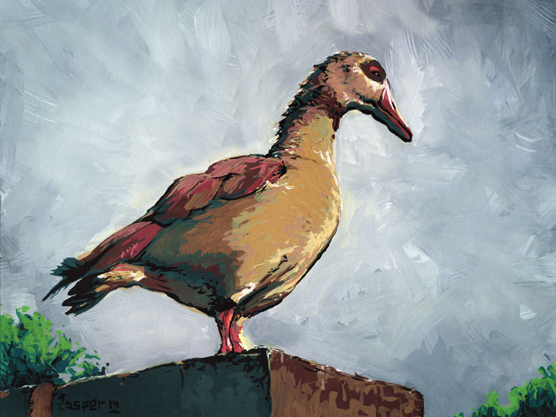 Mighty duck // 30 x 20 cm // gouache on paper // 2023 // 972 views