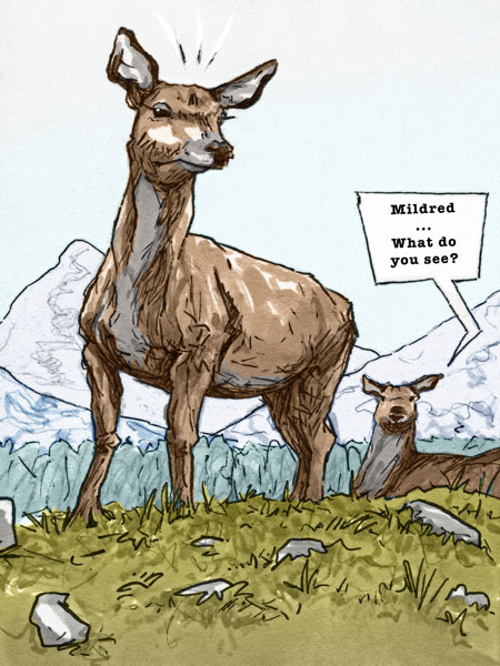 Now Mildred has seen it all // 12 x 16 cm // pencil and pen plus digital colors // 2022 // 3174 views