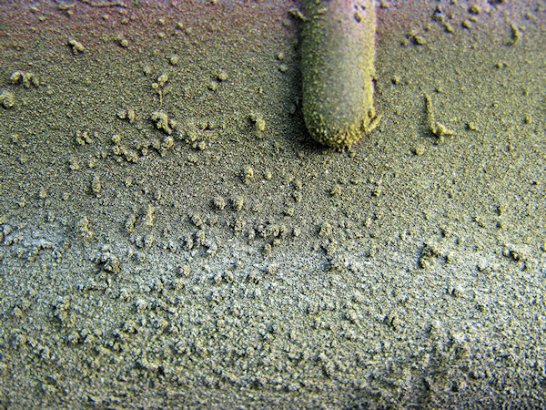 Accidental art #7 // - // photo of graffiti on wood // 2009 // 12096 views
