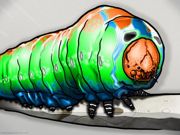 Caterpillar at second sight // 50 x 30 cm // digital composition // 2011 // 12816 views