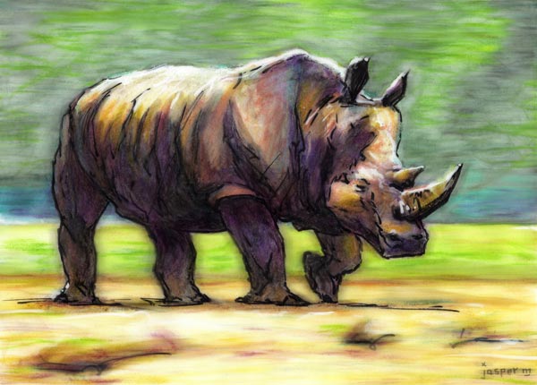 Rhino in a rush // 30 x 20 cm // oily pastel and marker on paper // 2024 // 5419 views