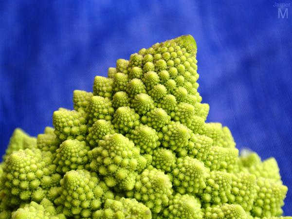 Romanesco // 75 x 50 cm // photo // 2013 // 9595 views