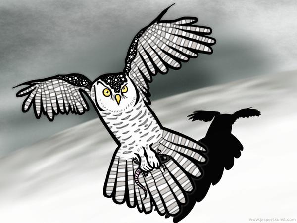 Snow owl with snack // 50 x 30 cm // digital composition // 2011 // 12971 views