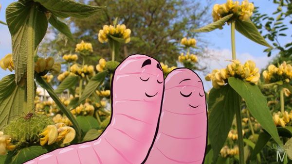 Strolling worms // 16:9 // video still // 2019 // 6602 views