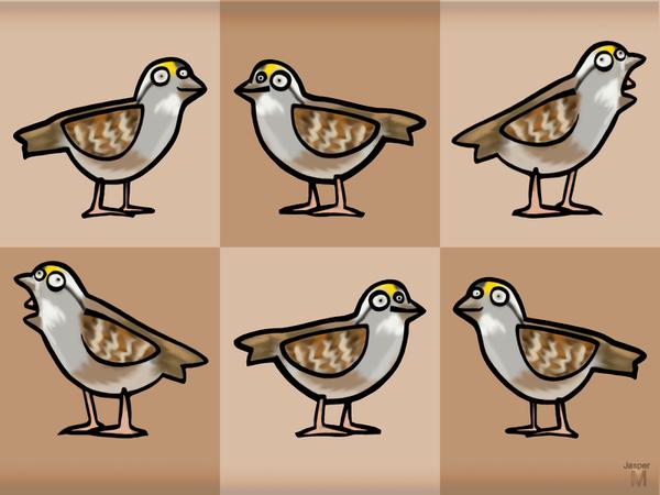 Tweet // 3x // animation cells // 2014 // 11320 views