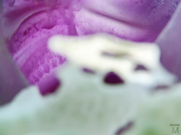 Wax #2 // 30 x 20 cm // photo // 2013 // 11840 views