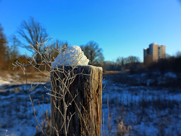 Winter wonder #1 // 4:3 // photo // 2024 // 1099 views