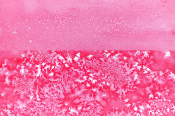 Salty pink // 3:2 // watercolor // 2021 // 6105 views